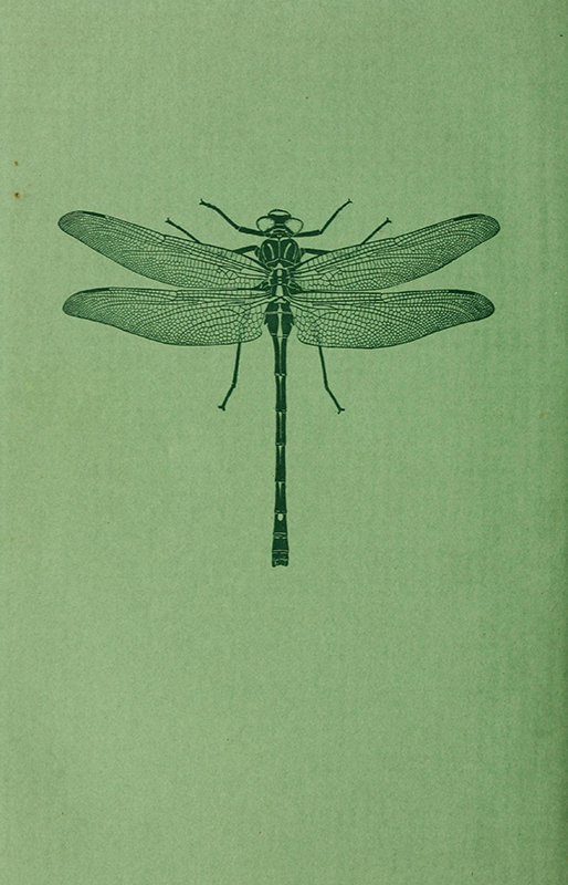 From A Handbook of the Dragonflies of North America by James Needham, 1929