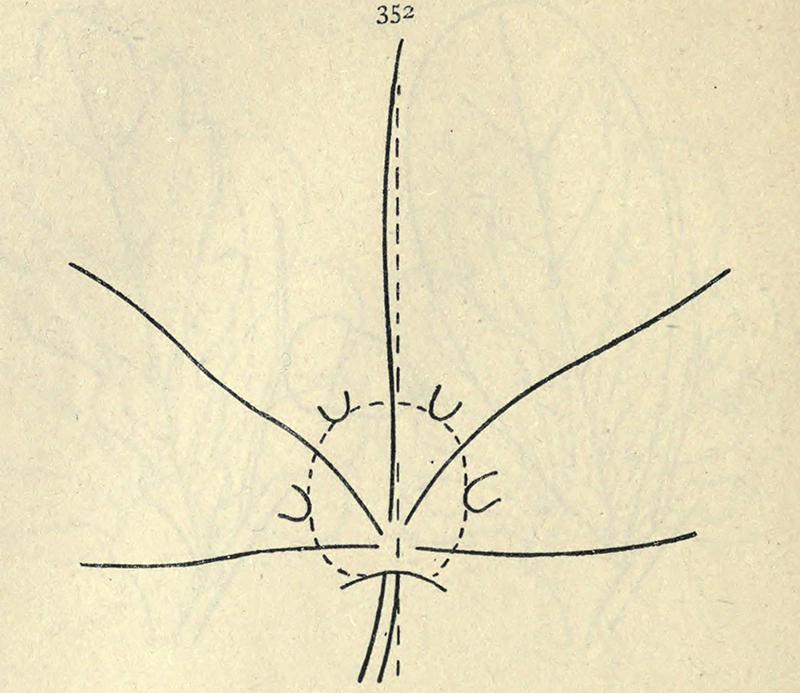 From The Teaching of Drawing by I. H. Morris, 1893