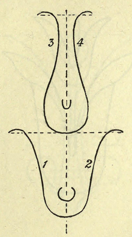 From The Teaching of Drawing by I. H. Morris, 1893