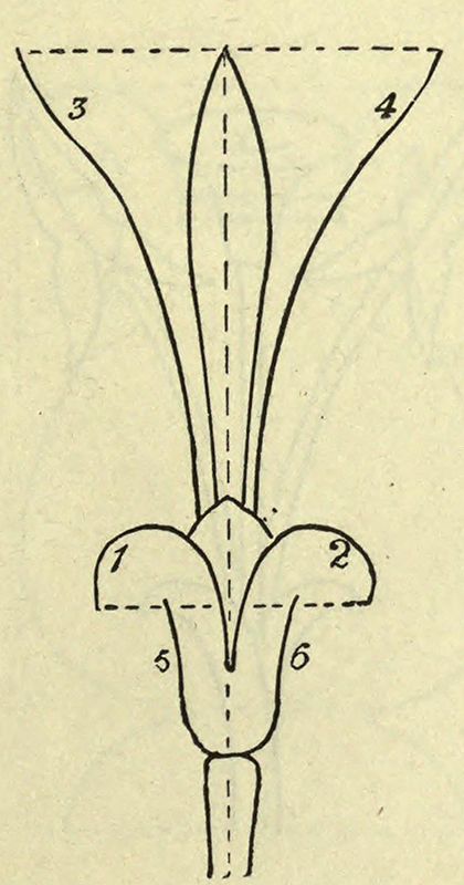 From The Teaching of Drawing by I. H. Morris, 1893