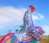 Glistening Cock