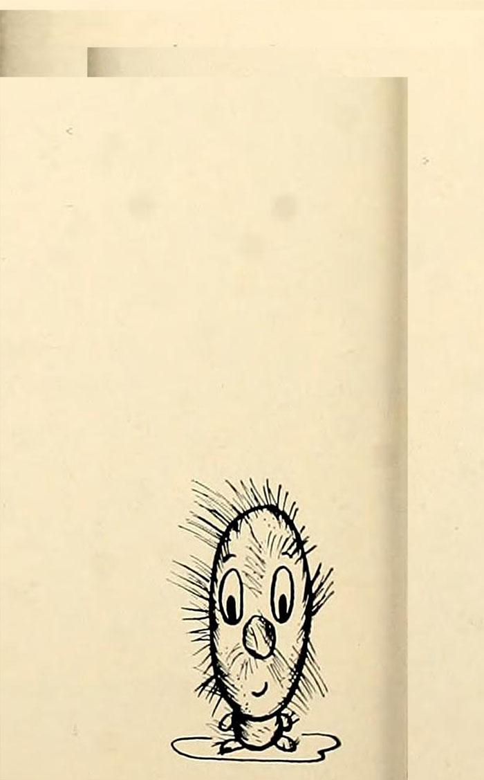 From the University of Arizona's 1953 yearbook