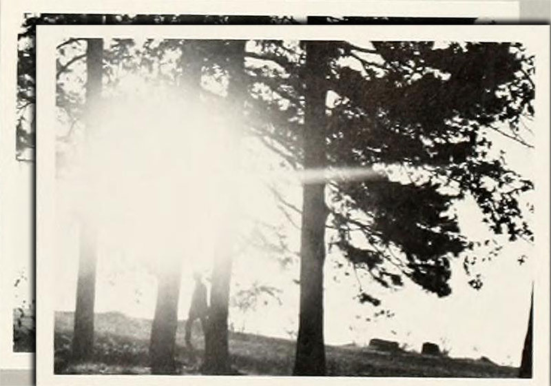 From Belmont Abbey's 1971 yearbook.