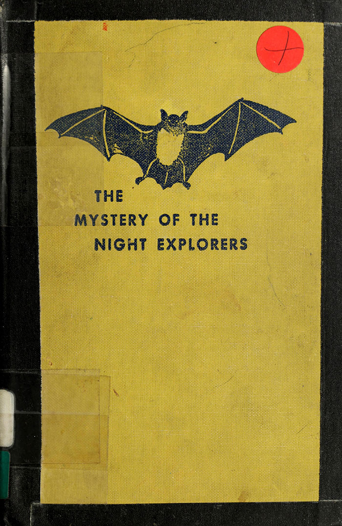 From The Mystery of the Night Explorers by Mary Adrian