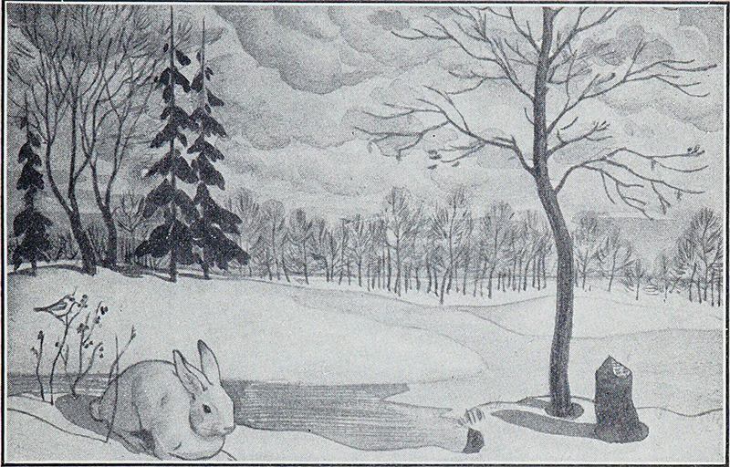 From Science Indoors and Out by Hensley & Patterson and illustrated by John Jones, 1931