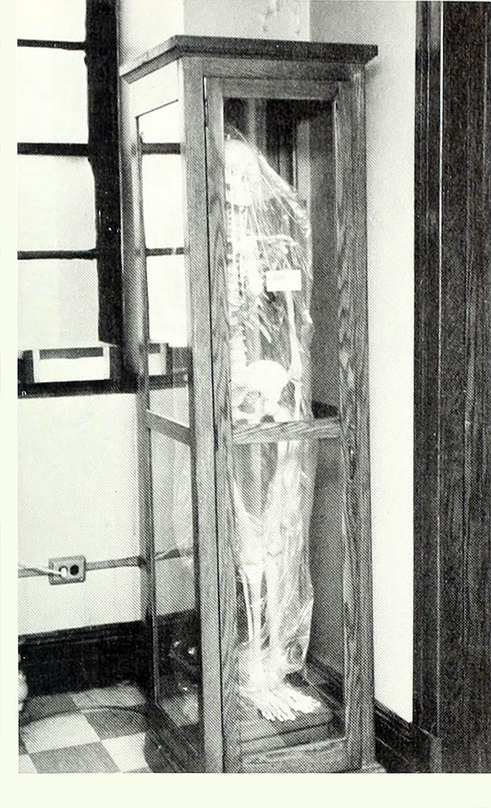 From St. Joseph's 1972 yearbook
