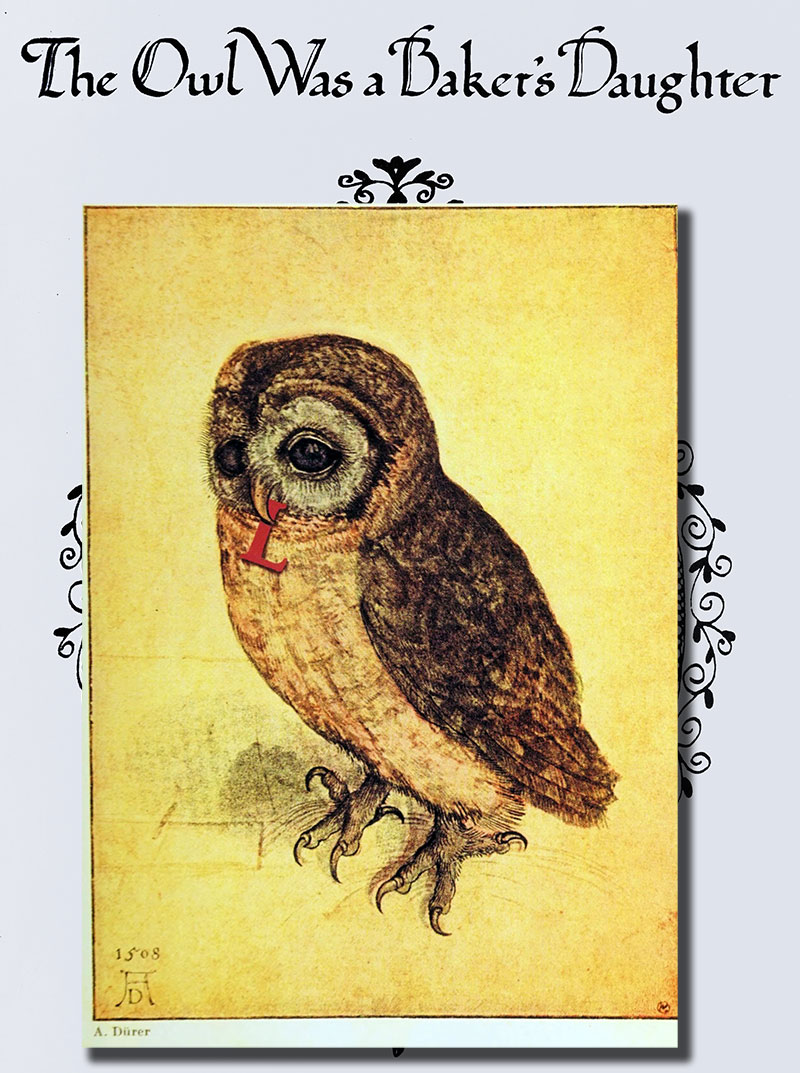 From The Owl Was a Baker's Daughter by Marion Woodman