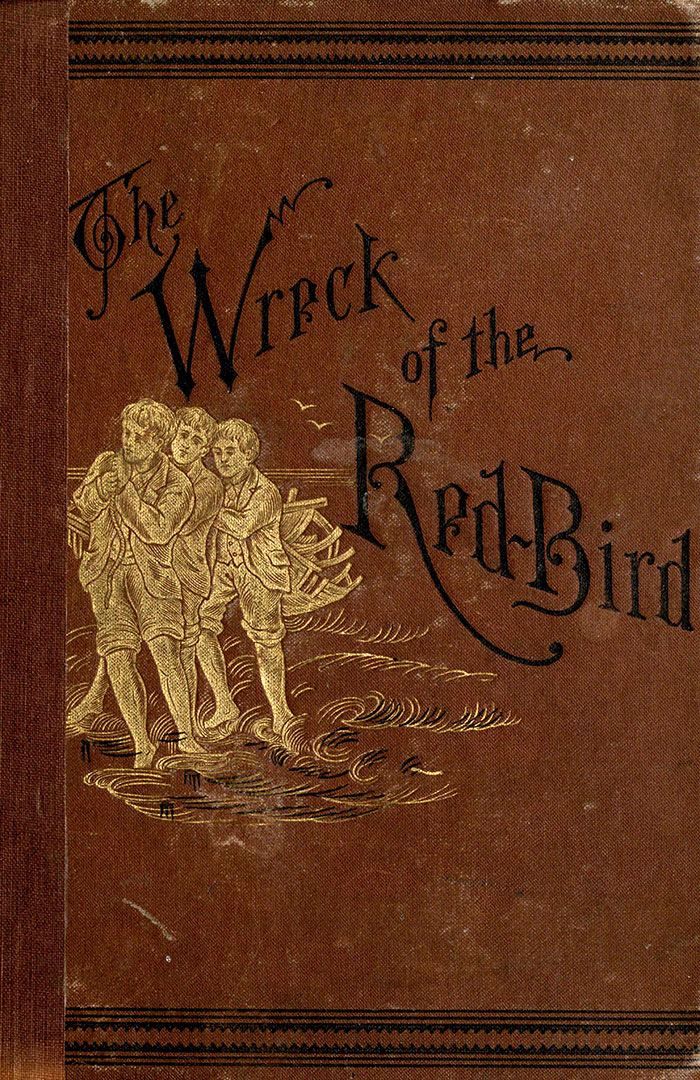 From The Wreck of the Red Bird by George Cary Eggleston, 1882