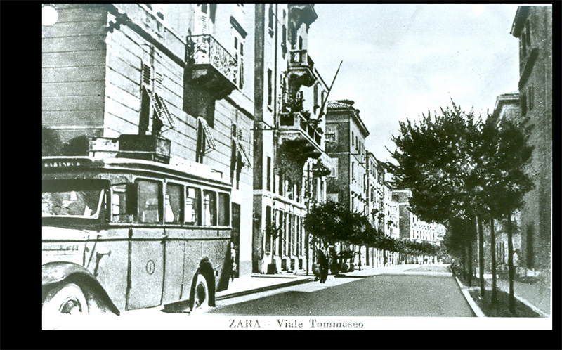 Zara, Viale Tommaseo