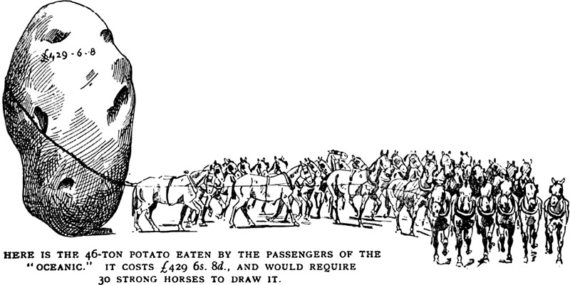 28454