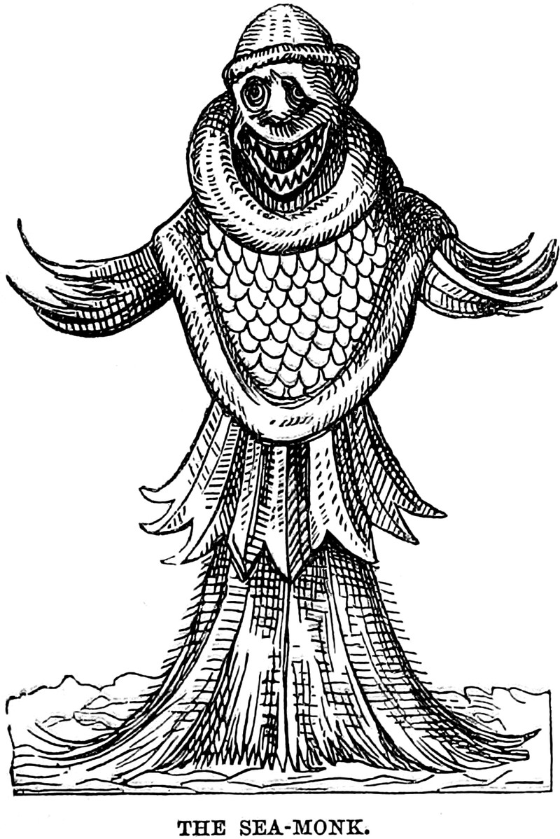 23204
