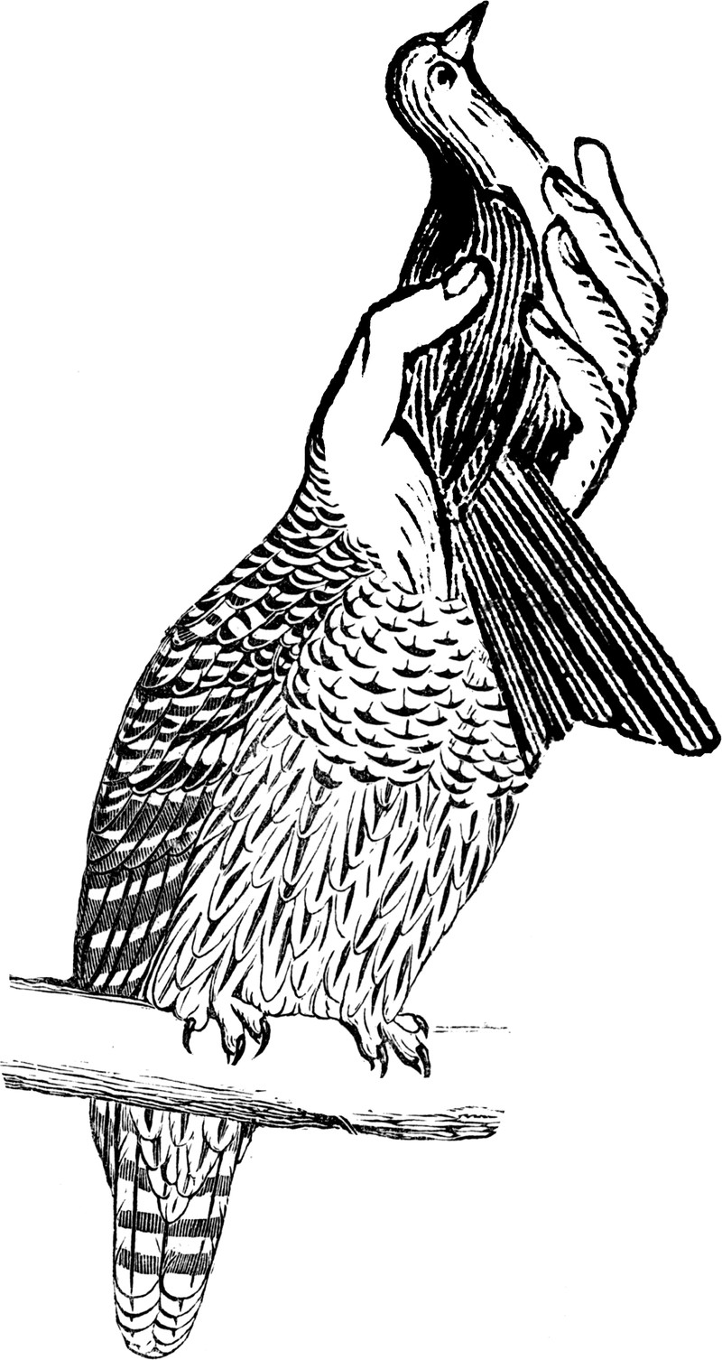 19553