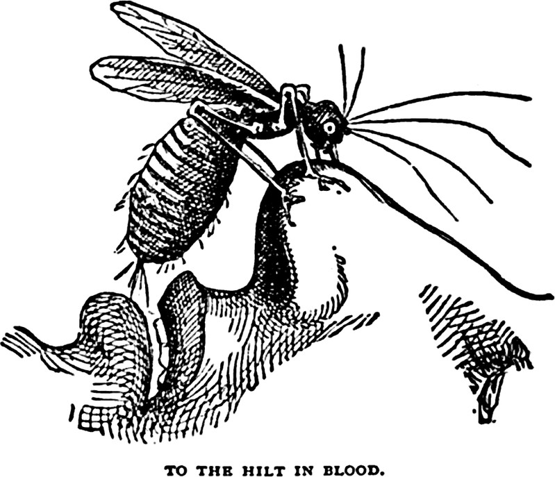18491