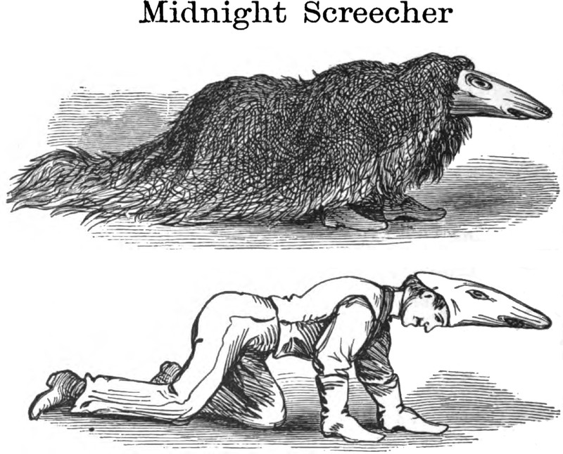 33243
