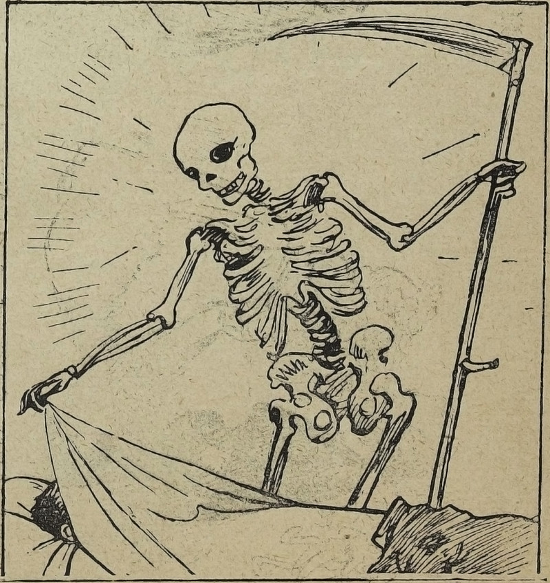 44983