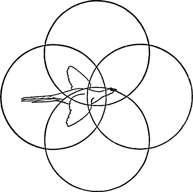 62540