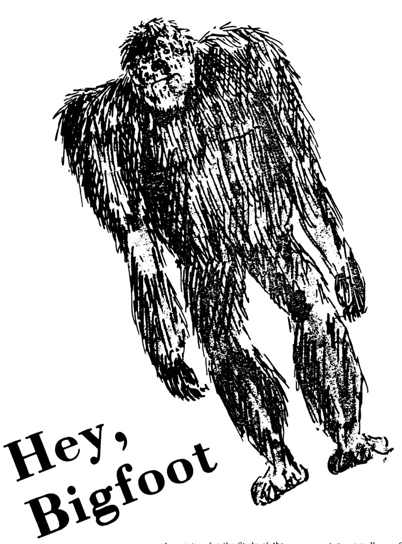 74633