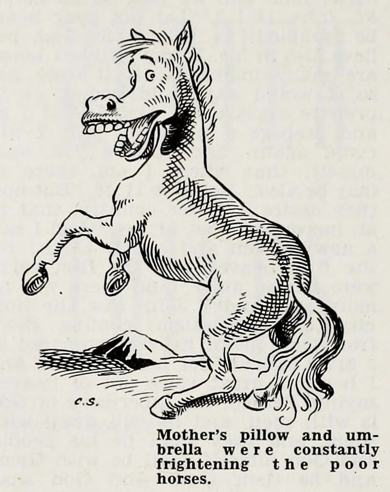 82166