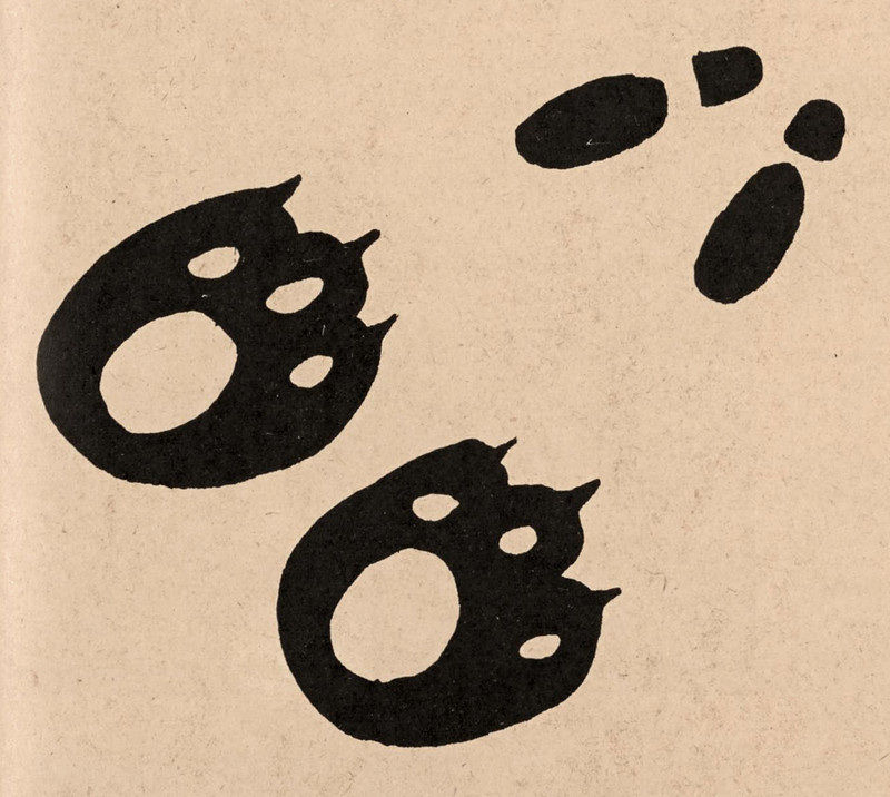Abecedarian : posts tagged feet