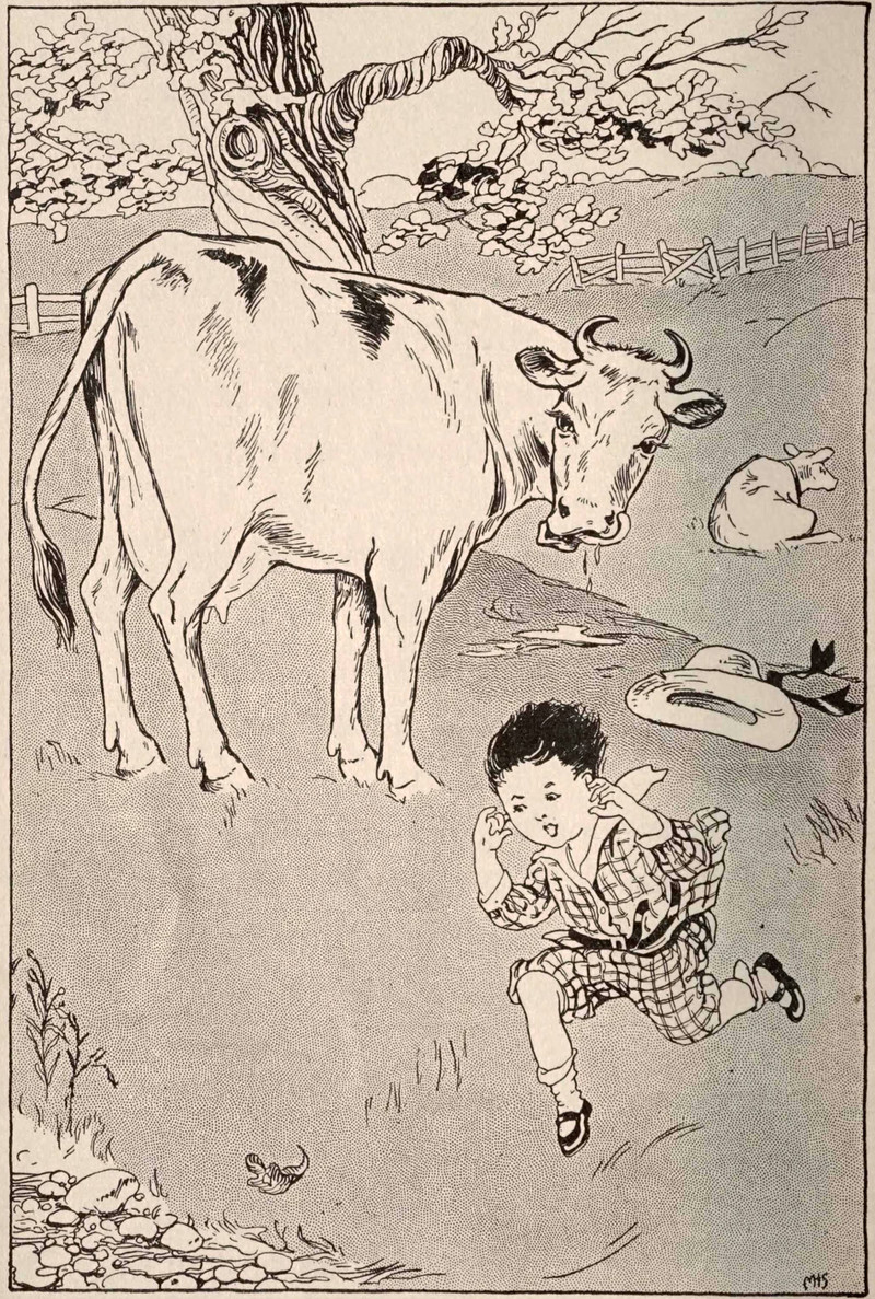 Abecedarian : posts tagged cow